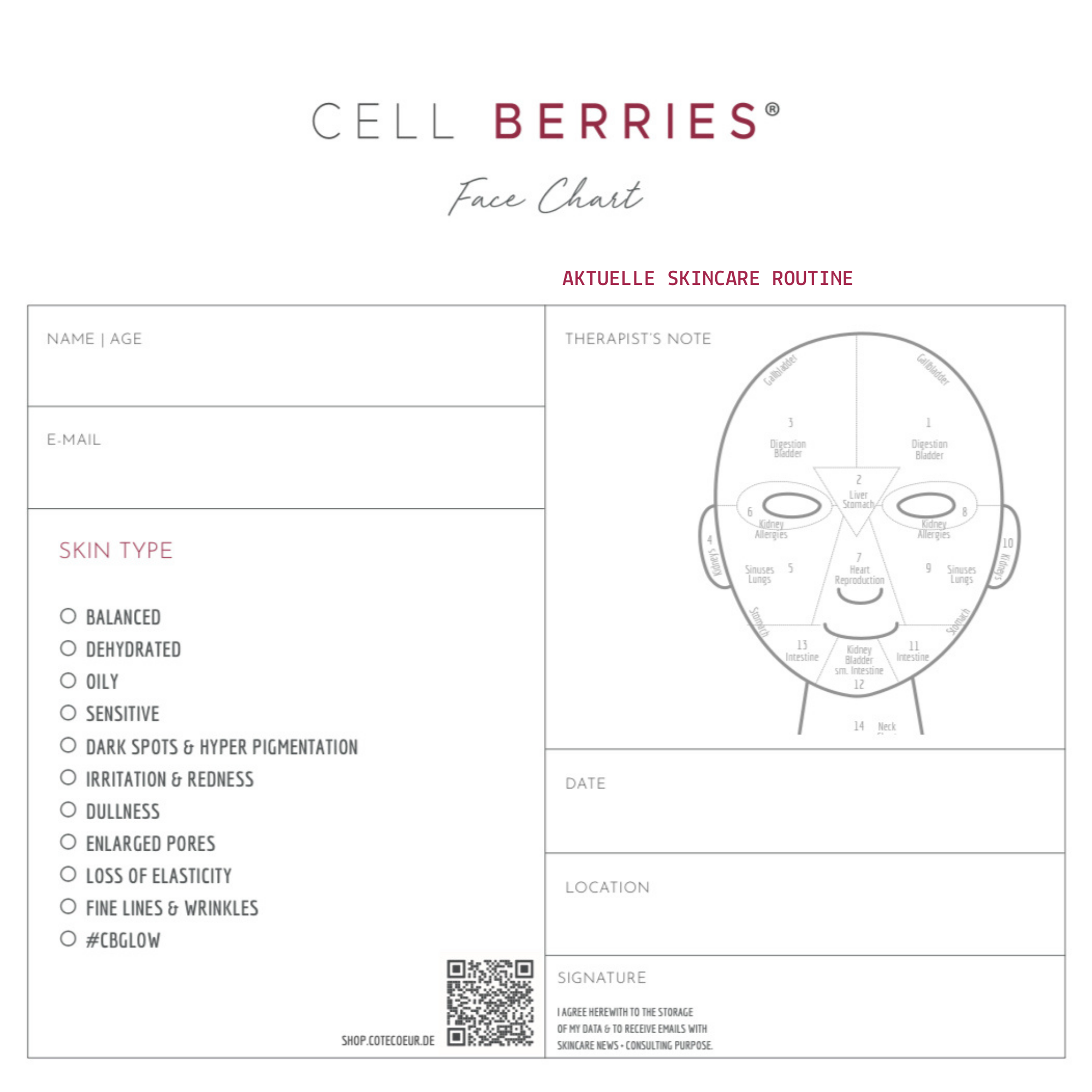 TCM Face Chart für die Face Yoga Online Ausbildung von GLOWY SKIN ACADEMY™
