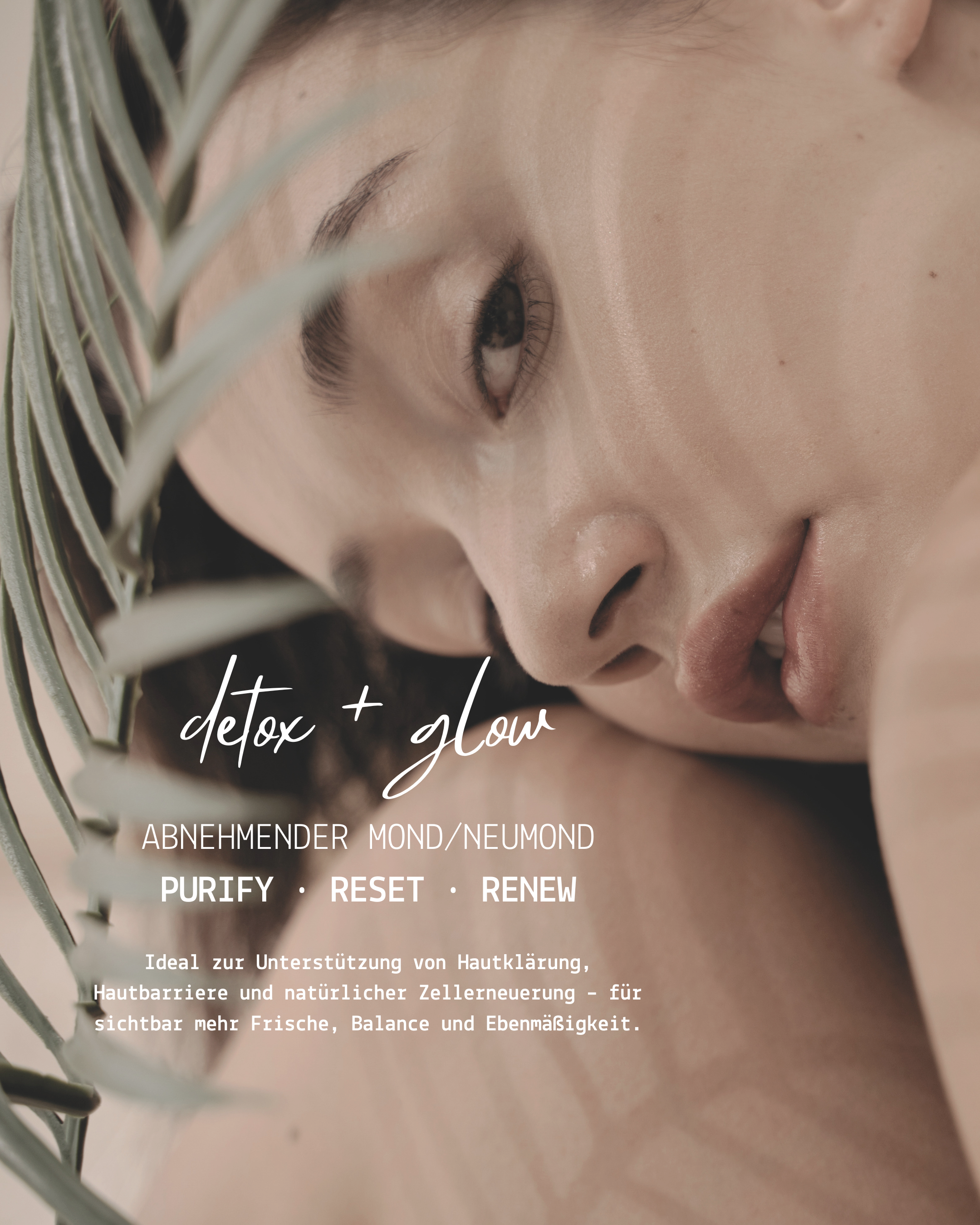 DETOX & GLOW Face Yoga und Red Light Therapy Half-Day Retreat in Deidesheim