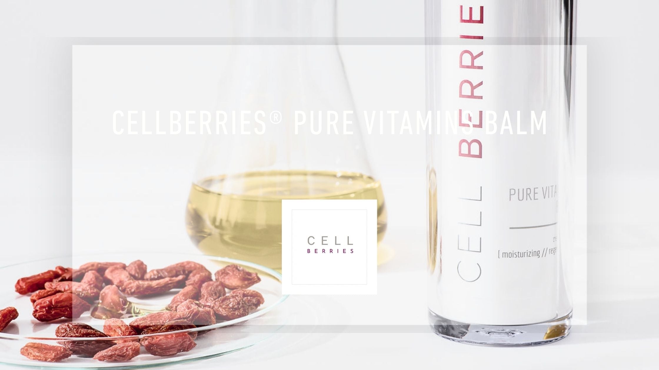 CELLBERRIES® PURE VITAMINS BALM – High-Performance Gesichtscreme mit 3-fach Hyaluron & Vitamin A·C·E