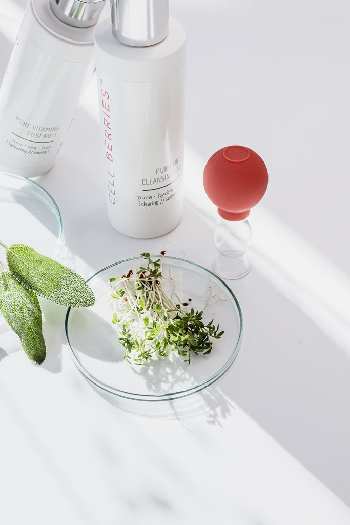 Cleansing DUO Purifying Cleansing Gel und Pure Vitamins Dust Hyaluron Tonic von CELLBERRIES® für Reinigungszeremonie Face Yoga GLOWY SKIN ACADEMY