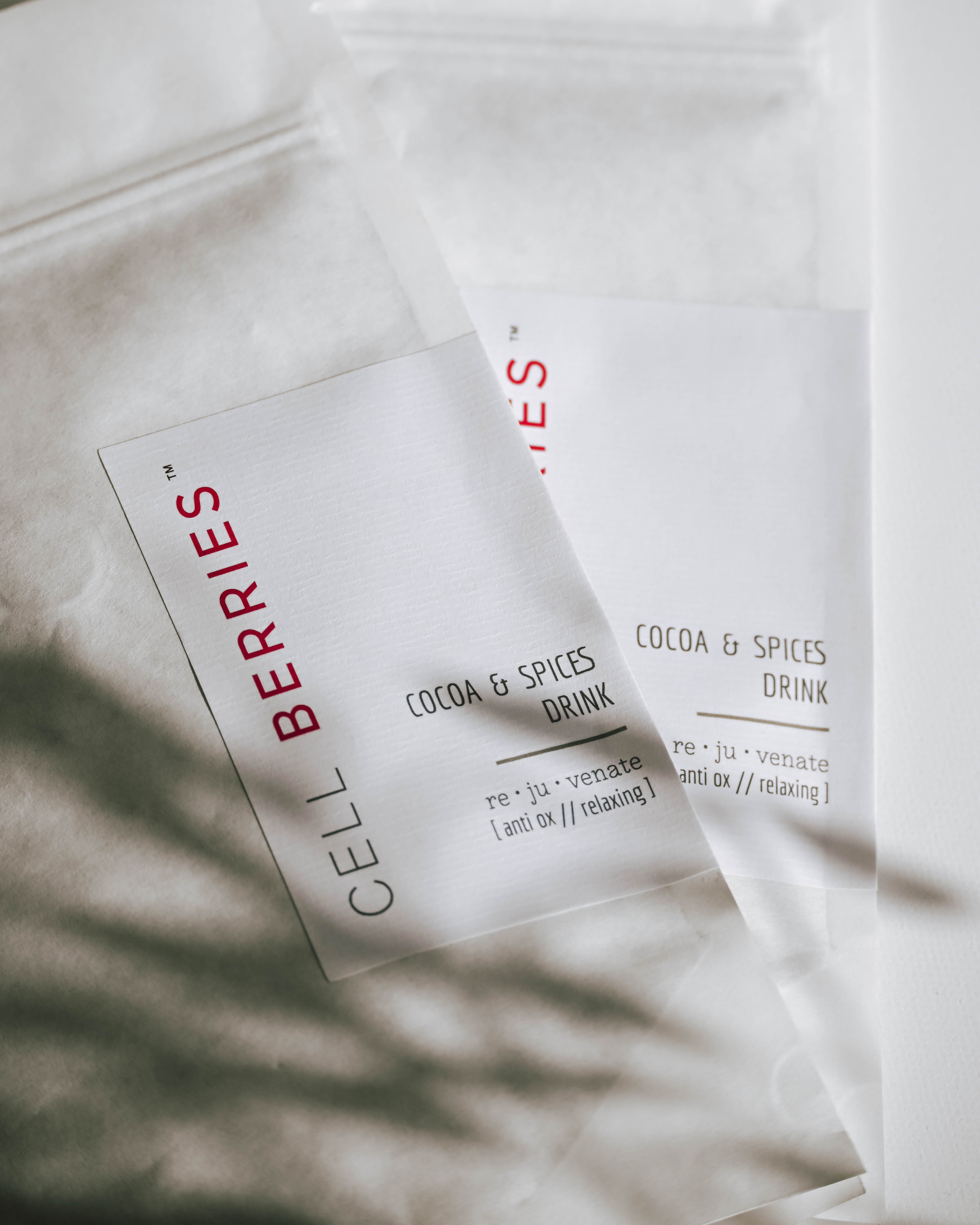 CELLBERRIES® Cocoa & Spices - veganer Bio-Kakao mit Curcuma, Kokosmilchpulver & Gewürzen. Ideal für Kakaozeremonien, Erdung & Hautgesundheit.