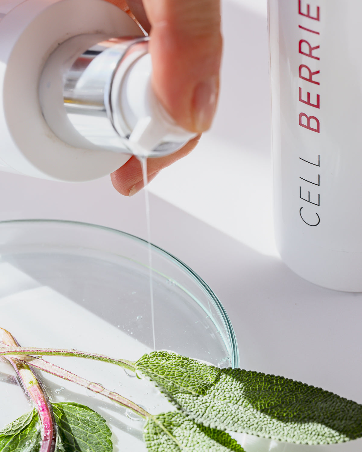 Anwendung des CELLBERRIES® Purifying Cleansing Gel – sanfte Reinigung für sensible Haut
