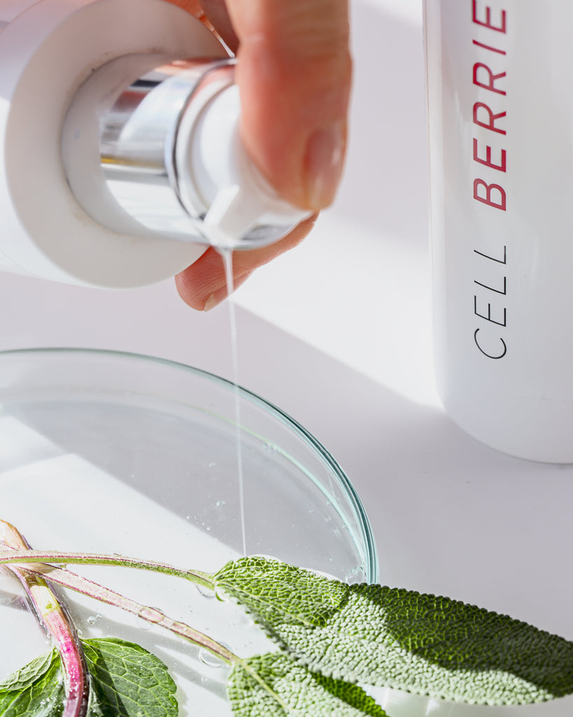 Anwendung des CELLBERRIES® Purifying Cleansing Gel – sanfte Reinigung für sensible Haut
