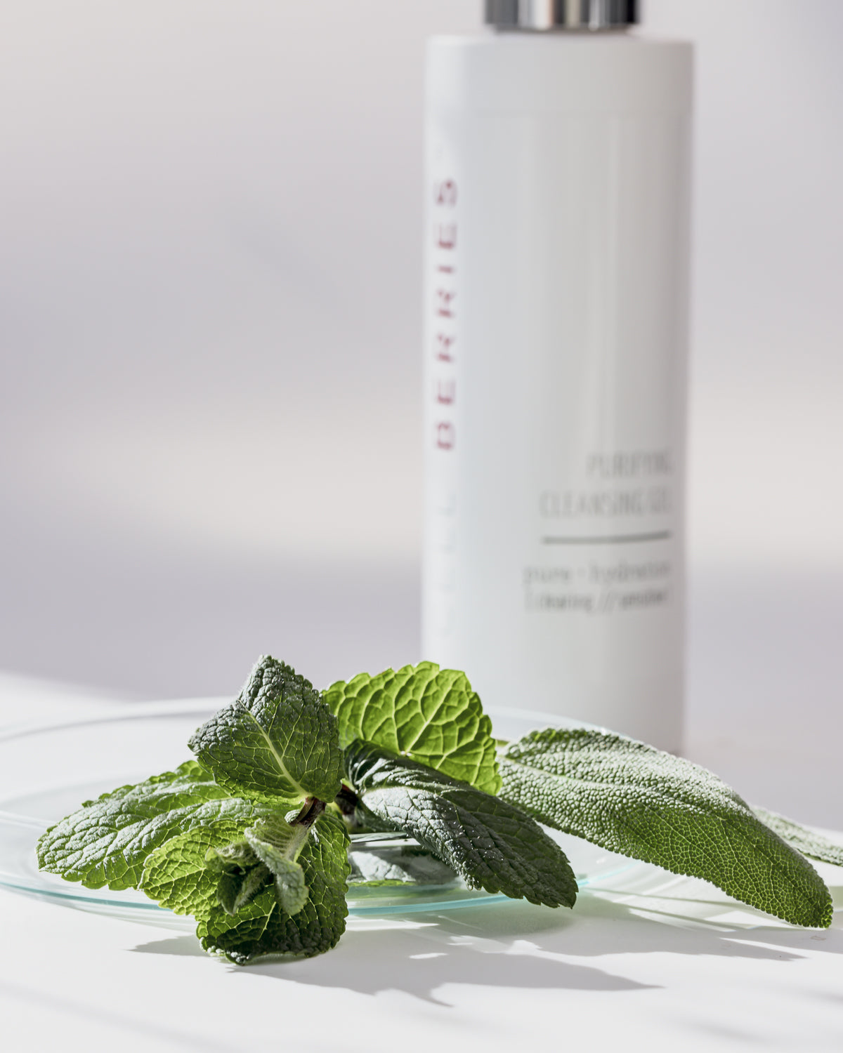 Salbei und Minze klärende Extrakte in Purifying Cleansing Gel